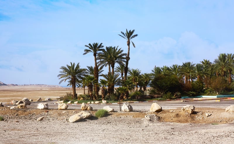 Botanical Oasis
