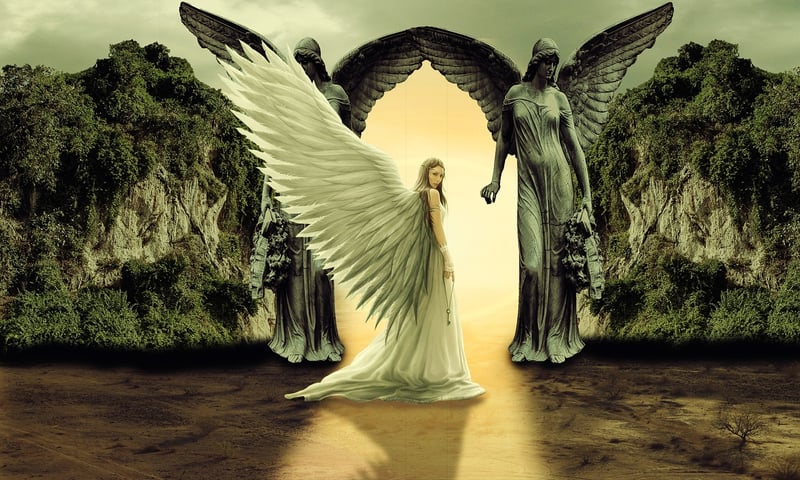 Harmonious Haven
