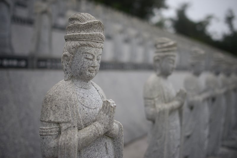 Meditation and Mindfulness